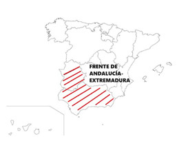 Frente de Andalucia y Extremadura